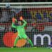 Milan Borjan završava karijeru u Zvezdi