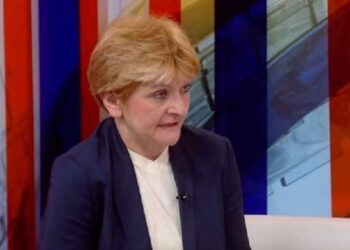 Grujičić: Potrebna je tačna naučna analiza zagađenosti zbog NATO bombardovanja