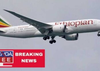 “Jasne sličnosti nesreća u Etiopiji i Indoneziji”