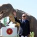 Erdogan: Ako se poljulja Turska poljuljaće se i Sirija, Libija, Bosna…