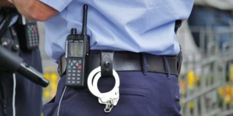 Za lopove nema odmora (2): Bugarke kao kaznena ekspedicija