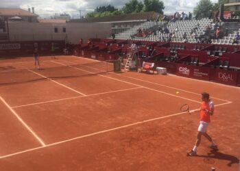 Troicki se na meču u Bordou požalio sudiji na miris trave iz gledališta (VIDEO)