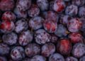 Otkupne cene veće? Šljive i višnje slabo rodile ove godine