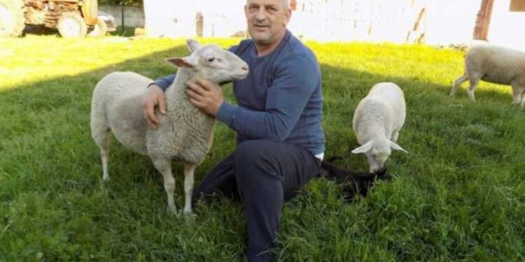 Sajber čobanin iz Salcburga