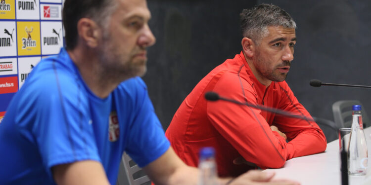 Krstajić: Sa Ukrajinom drugačije nego protiv Nemačke (FOTO)