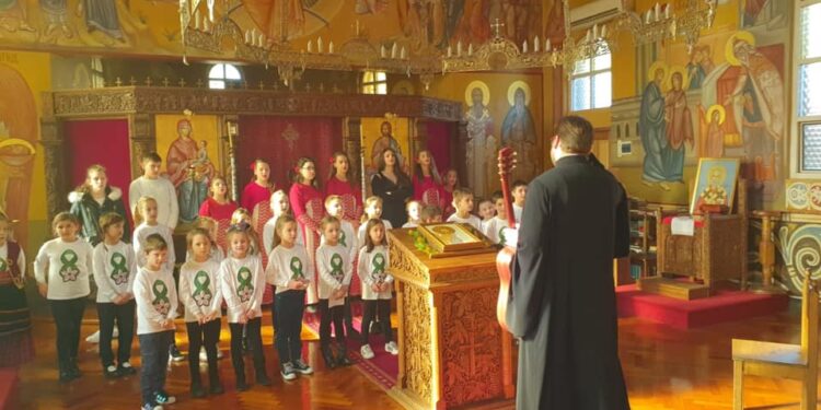 Vidovdanska Akademija