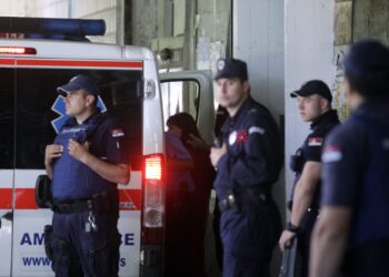 Uhapšene 62 osobe zbog dilovanja droge, oružja, prevara i iskorišćavanja maloletnika za pornografiju