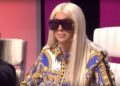 Jelena Karleuša otkrila pravu istinu o razvodu