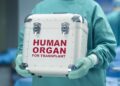 U Srbiji na milion stanovnika samo tri donora