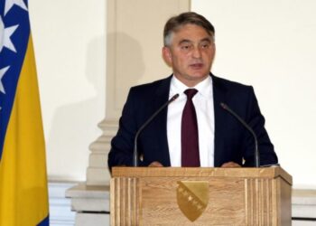 Komšić se ogradio od Dodikovog raporta Vulinu