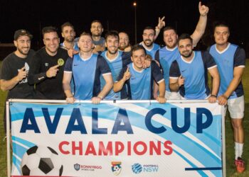Avala kup kao Liga šampiona?