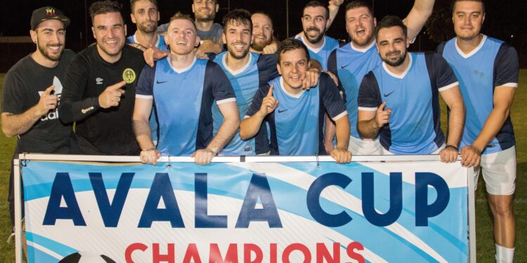 Avala kup kao Liga šampiona?