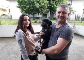 Bobi je izvor radosti