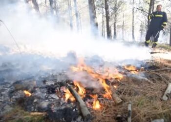 Plaža na hrvatskom ostrvu i dalje gori, preko 10.000 ljudi evakuisano (VIDEO)