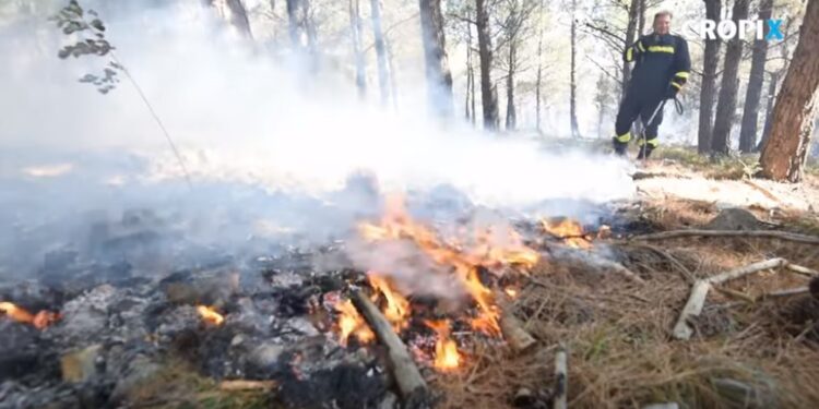 Plaža na hrvatskom ostrvu i dalje gori, preko 10.000 ljudi evakuisano (VIDEO)