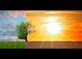 Posledice klimatskih promena: Da li je ovaj jul najtopliji mesec ikada?