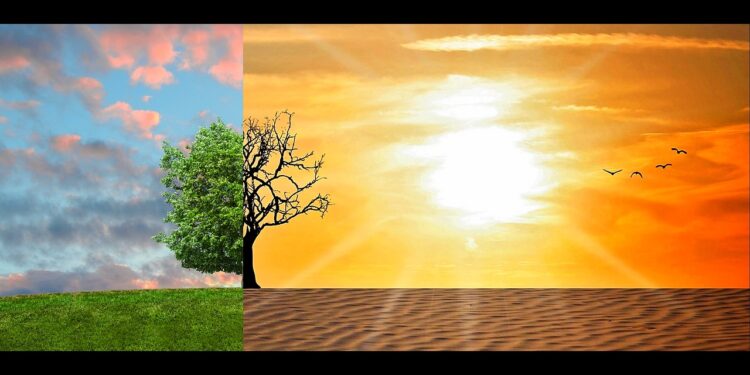 Posledice klimatskih promena: Da li je ovaj jul najtopliji mesec ikada?