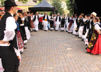 Trodnevni festival u Cofingenu: Srpska kola za studente