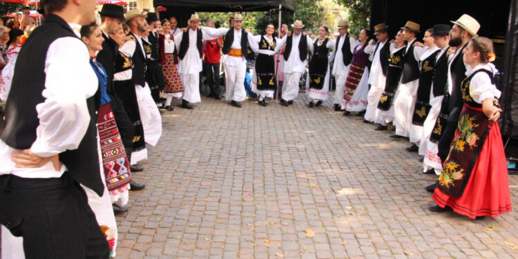 Trodnevni festival u Cofingenu: Srpska kola za studente