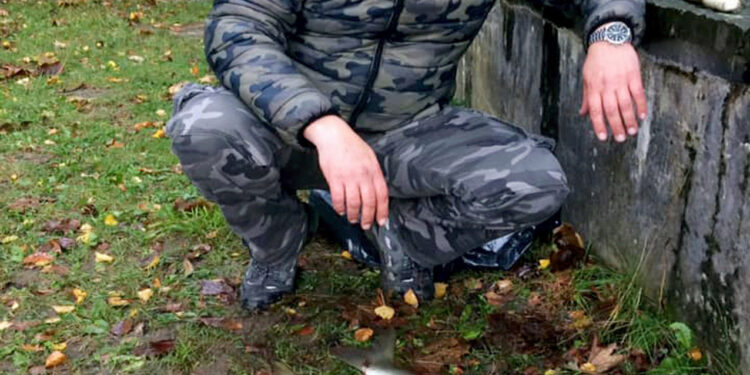 Kad nema grgeča dobra je i mrena