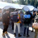 Da li su migranti pretnja Republici Srpskoj?