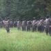 Slovenačka policija razoružala pripadnike Štajerske straže