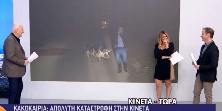 Grčki novinar u javljanju uživo bežao od svinje (VIDEO)
