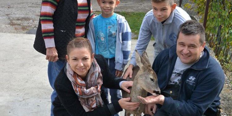 Rubi iz šume dođe na ručak