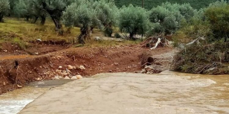 Vanredno stanje u Grčkoj: Snažno nevreme na Halkidikiju i Tasosu (VIDEO)