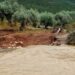 Vanredno stanje u Grčkoj: Snažno nevreme na Halkidikiju i Tasosu (VIDEO)