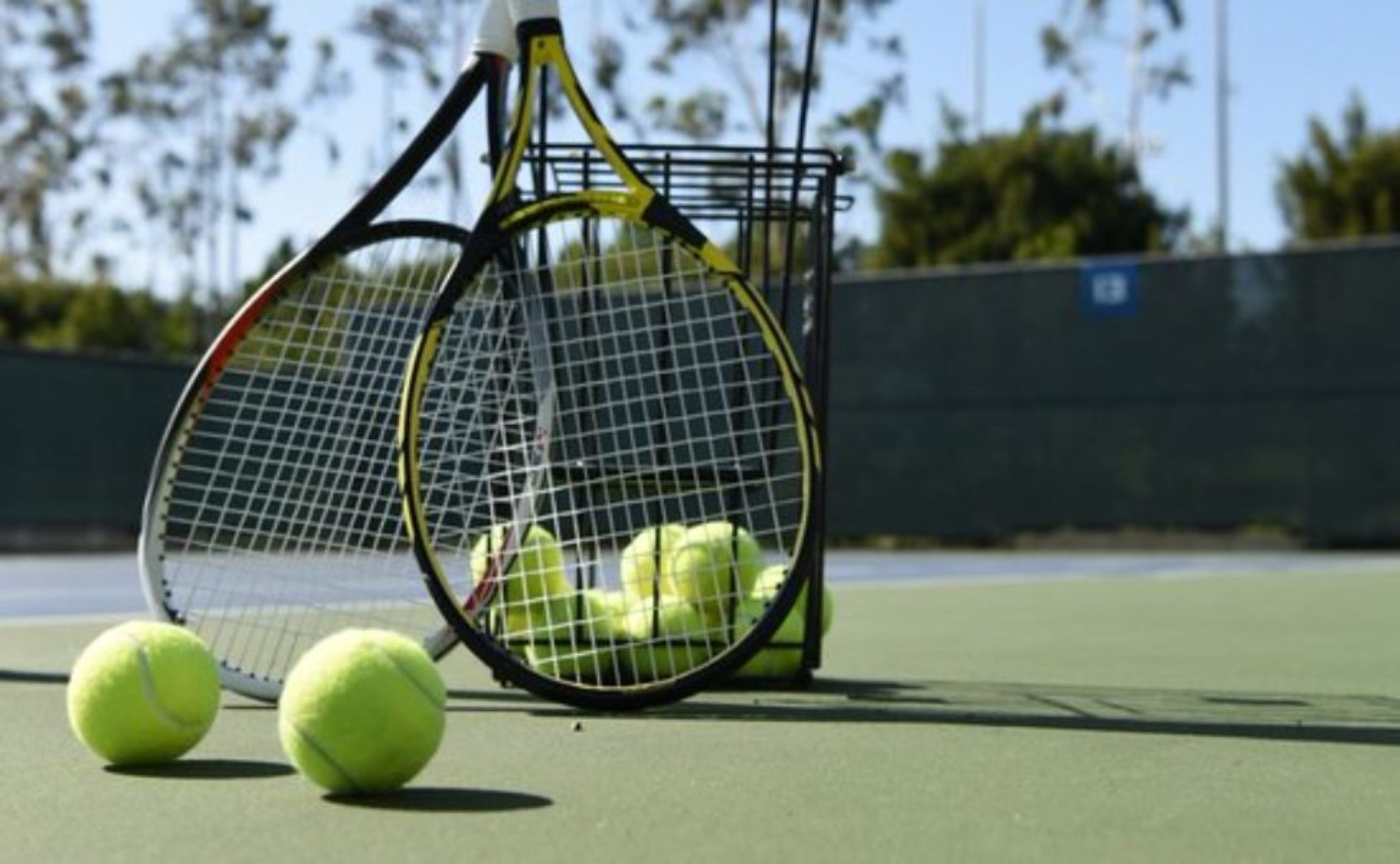 Вывеска теннисный корт