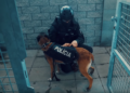 Odbegli policijski pas ugrizao tinejdžera za lice i grudi