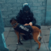 Odbegli policijski pas ugrizao tinejdžera za lice i grudi
