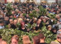 Božja svetlost u srcima