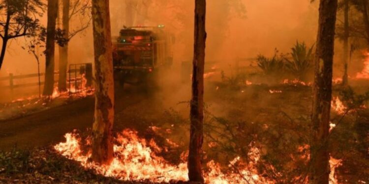 Australija: Uz požare stižu peščane oluje, grad i poplave