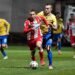 Zvezda razbila Slovake: Stanković našao prvih „11“ i skockao tim za nastavak Super lige