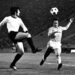 Epidemija Variola vere, a na treningu 15.000 ljudi: Ovako su Zvezda i Partizan odigrali 50. derbi! (FOTO) (VIDEO)