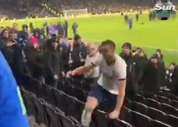 Haos u Londonu: Vezista Totenhema uleteo na tribinu i pobio sa svojim navijačem (VIDEO)