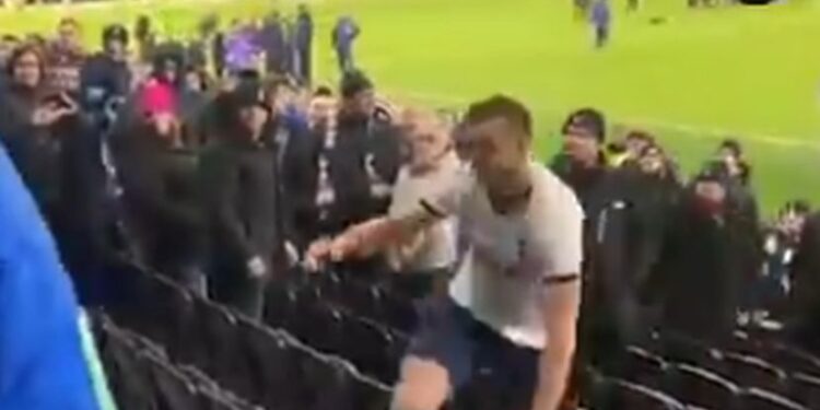Haos u Londonu: Vezista Totenhema uleteo na tribinu i pobio sa svojim navijačem (VIDEO)