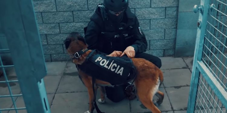 Austrija šalje policajce i pse na mađarsko-srpsku granicu