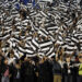Koronavirus „stigao“ u Partizan