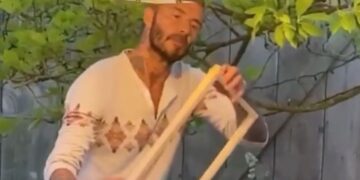 Pčelarstvo posle fudbala: Dejvid Bekam pravi košnice i planira proizvodnju meda (VIDEO)