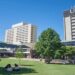 Univerzitet NSW otpušta 500 radnika