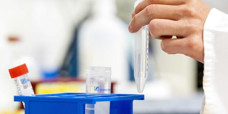 U Brazilu više od 70.000 preminulih od koronavirusa