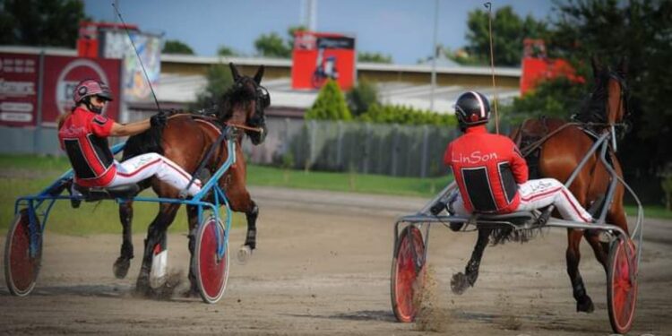 Konjičke trke – festival lepote i adrenalina (FOTO)