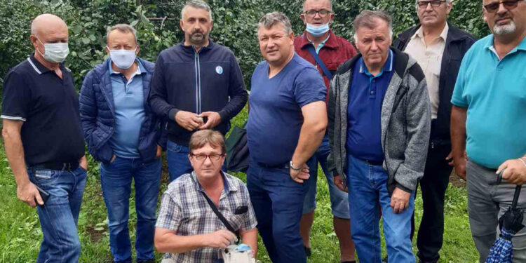 Ugljevička šljiva putuje u Evropu