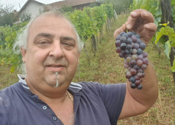 Iz Evrope u zavičaj po letinu