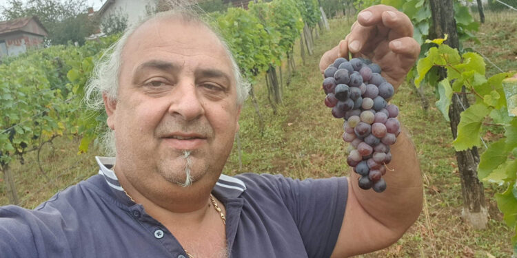 Iz Evrope u zavičaj po letinu