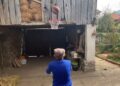 Bobi Marjanović snimao dedu kako šutira na koš, fanovi poručili: Bolje izvodi bacanja od O’Nila (VIDEO)