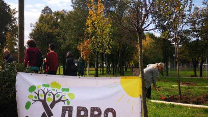Regionalna inicijativa “Drvo prijateljstva” i u Beogradu